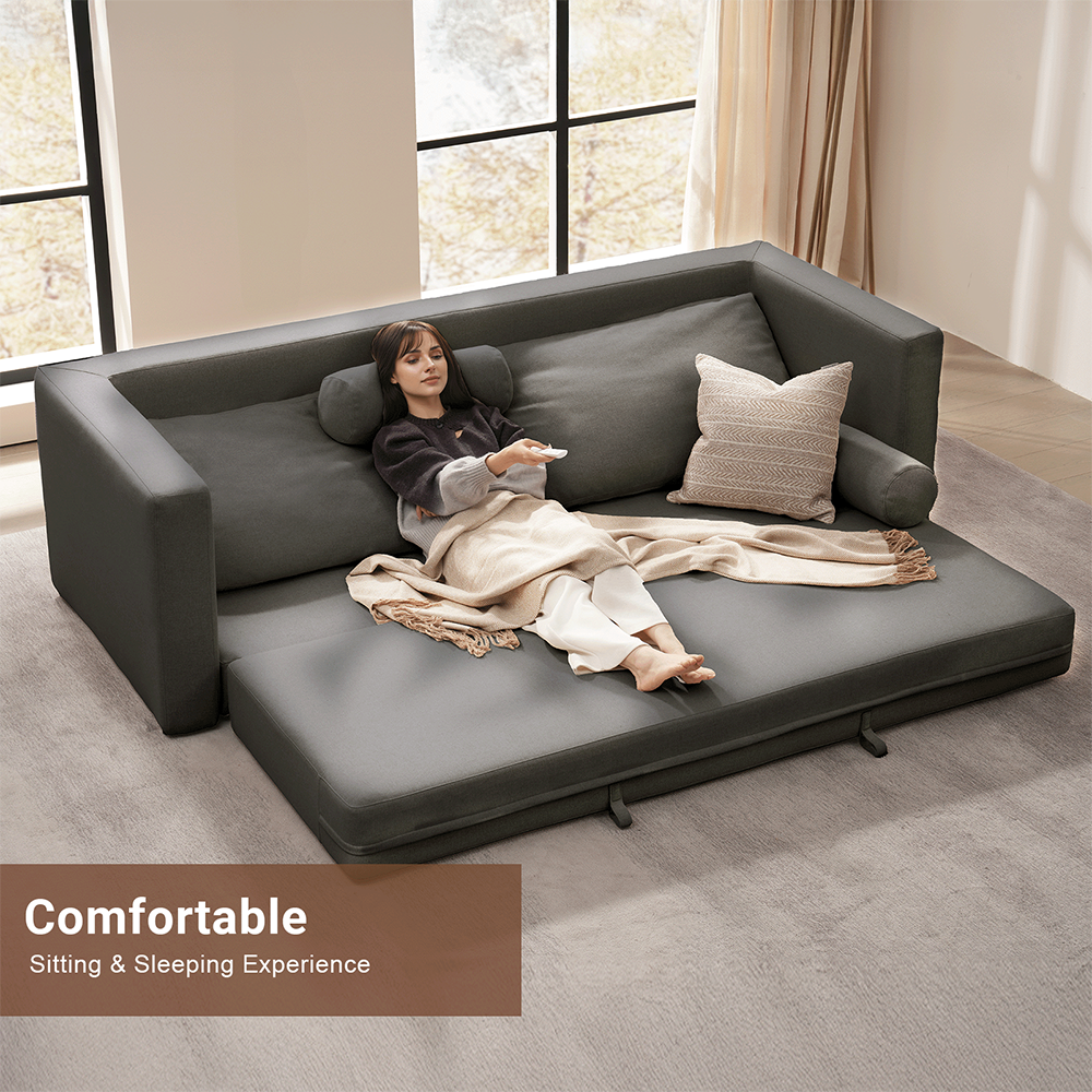 Queen Size Bed Sofa
